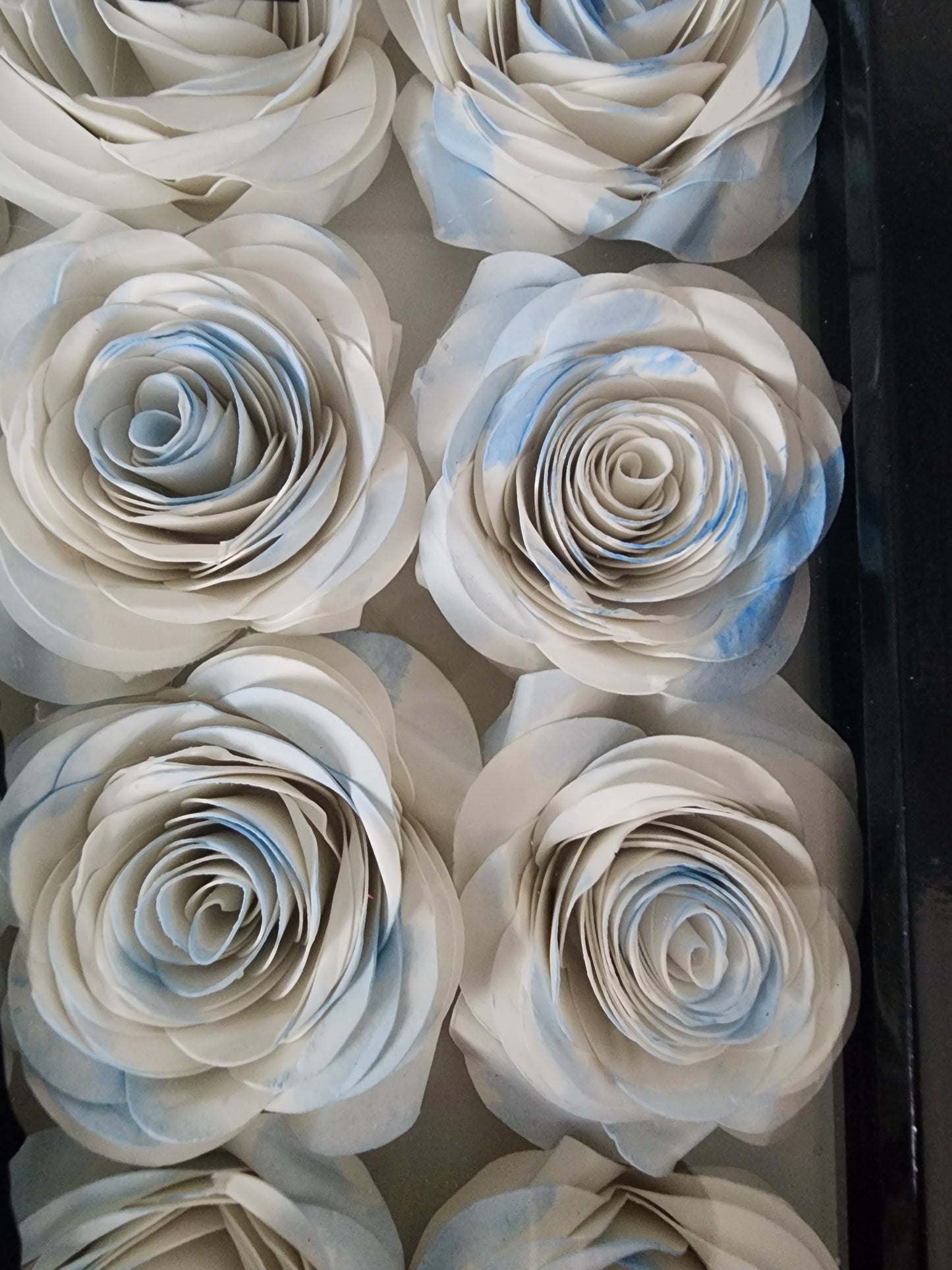 8" × 10" Fourth Wing Inspired Floral Shadow Box
