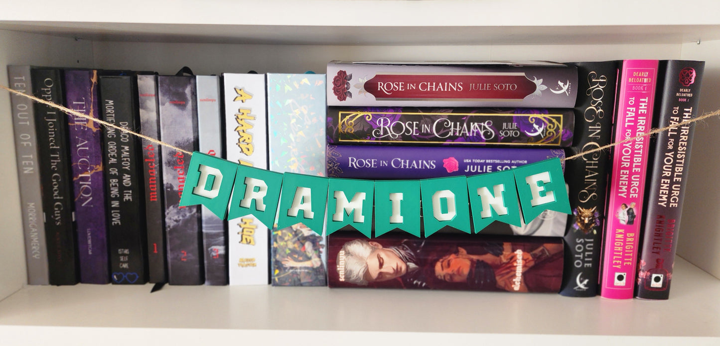 3D Printed PLA Dramione Banner