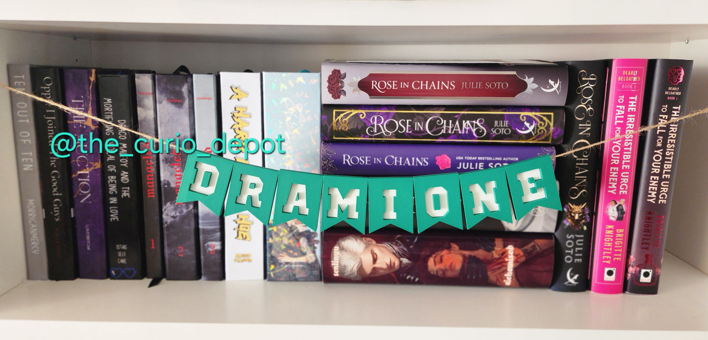 3D Printed PLA Dramione Banner
