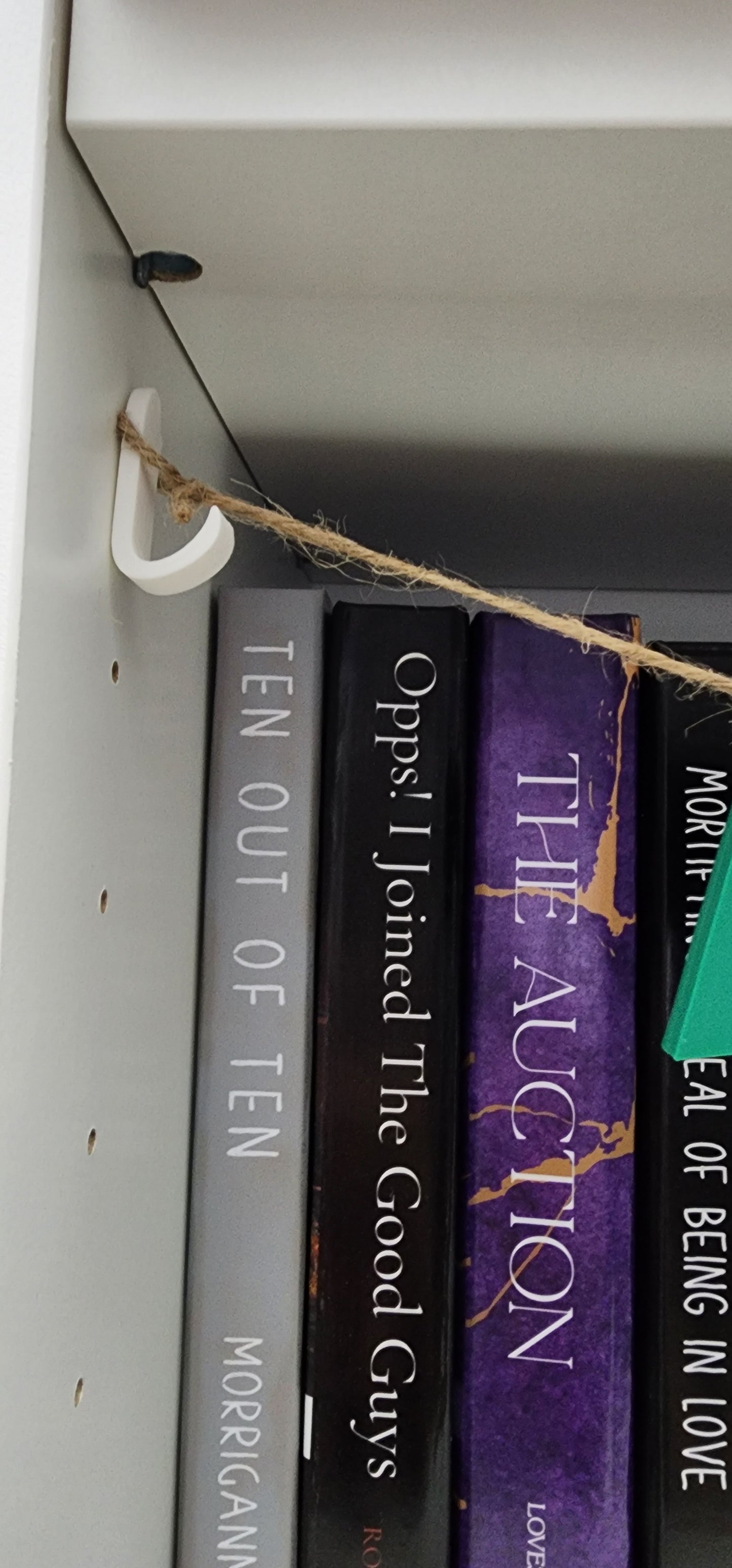 3D Printed PLA Dramione Banner