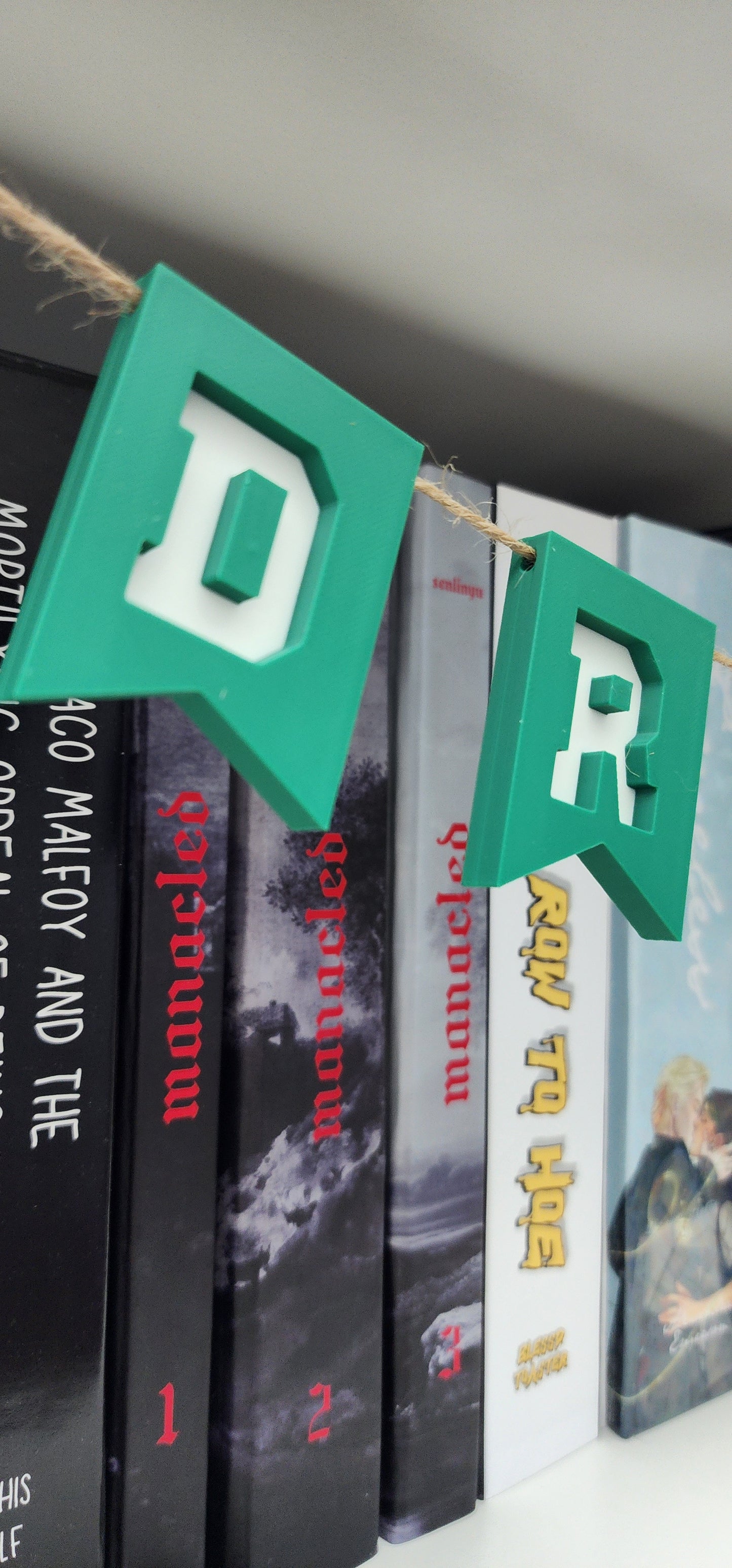 3D Printed PLA Dramione Banner