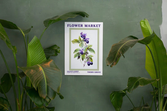 DIGITAL Belladonna Flower Market Print
